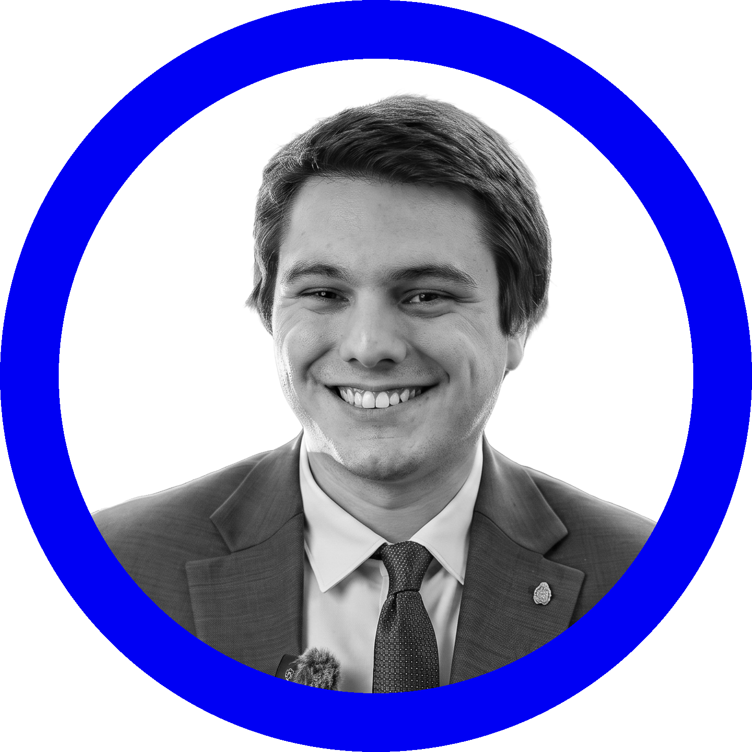 Mauro Andreoli, Input Output group (IOG)